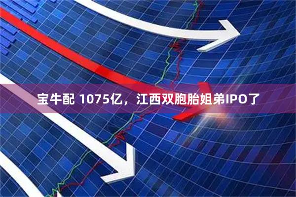 宝牛配 1075亿，江西双胞胎姐弟IPO了