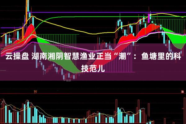 云操盘 湖南湘阴智慧渔业正当“潮”:鱼塘里的科技范儿